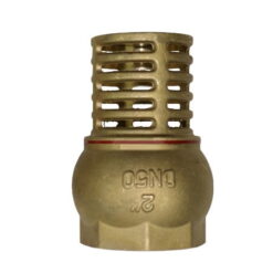 Brass_Vertical_Foot_Valve_BSP_1