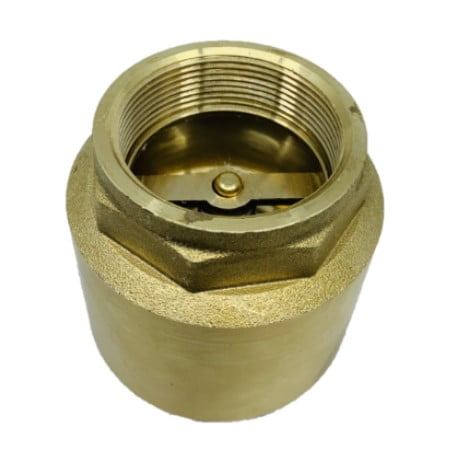 Europa Brass Spring Check Valve Non Return Valve Valve