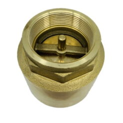 Europa_Brass_Spring_CHeck_Valve_2