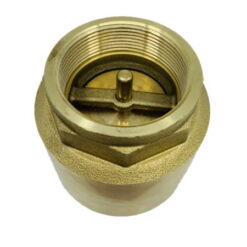 Europa_Brass_Spring_CHeck_Valve_2