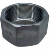 Stainless Steel Cap website 1