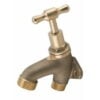 Brass Backplated Tap Male BSP Thread
