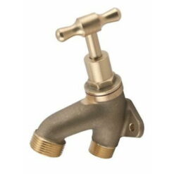 Brass Backplated Tap Male BSP Thread