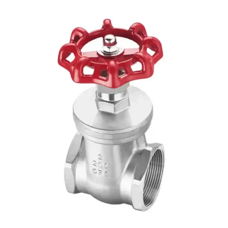 Stainless Steel 316 Gate Valve Female BSP Thread